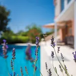 Roko Villa *