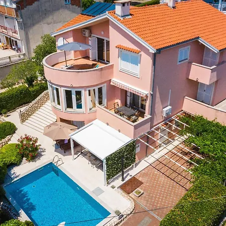 Roko * 노비비노돌스키