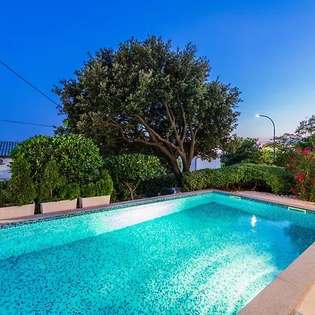 Roko ノヴィ・ヴィノドロスキー