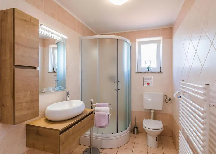 Roko 노비비노돌스키