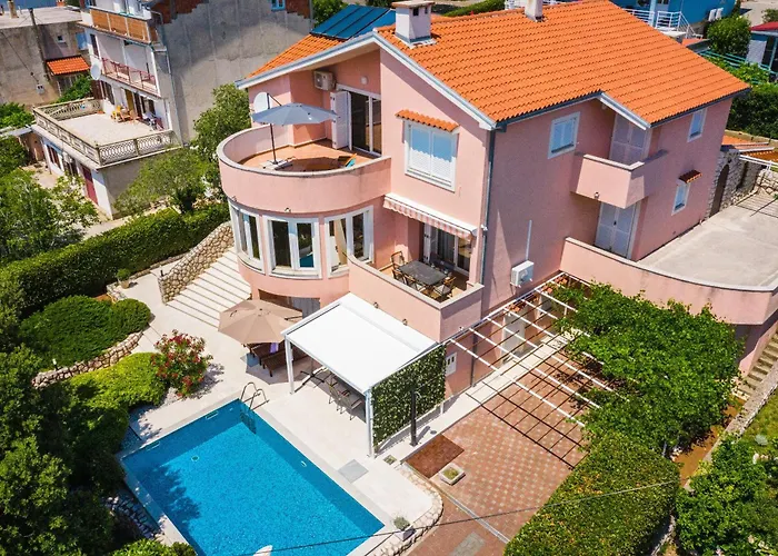 Roko * 노비비노돌스키