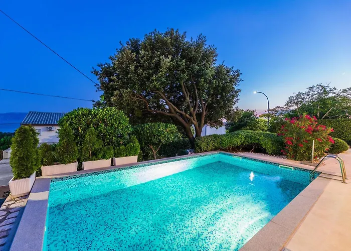 Roko 노비비노돌스키