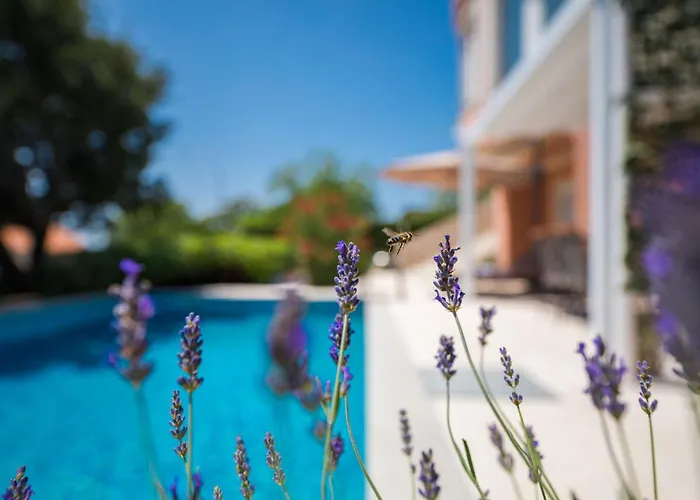 Roko Villa *
